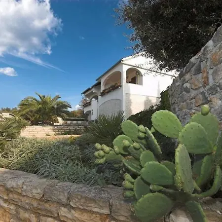 Villa Nikolina Molat